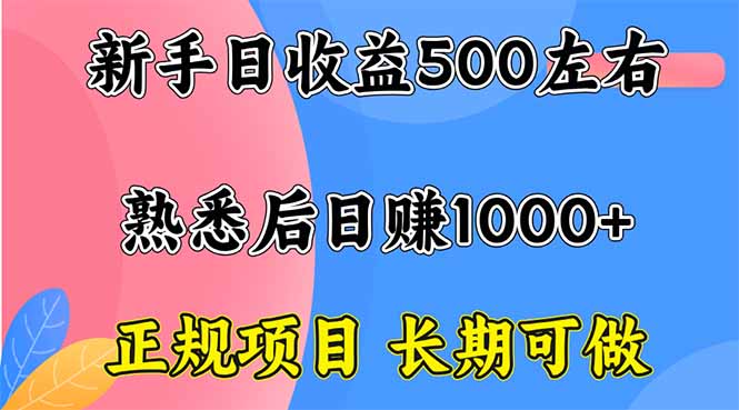 新手日收益500+ 正规项目 长期可做-学链网创