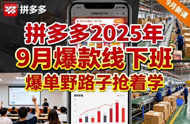 拼多多2025年9月爆款线下班，爆单野路子抢着学-学链网创