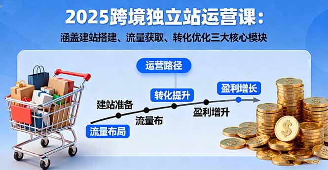 2025跨境独立站运营课：涵盖建站搭建、流量获取、转化优化三大核心模块-学链网创