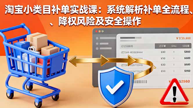 淘宝小类目补单实战课：系统解析补单全流程、降权风险及安全操作-学链网创