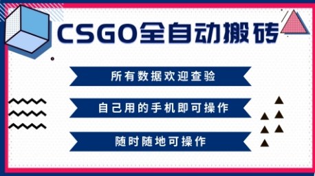 CSGO全自动搬砖，年底钱回家好项目，当天可拿到结果，新手小白轻松月入1W+【揭秘】-学链网创