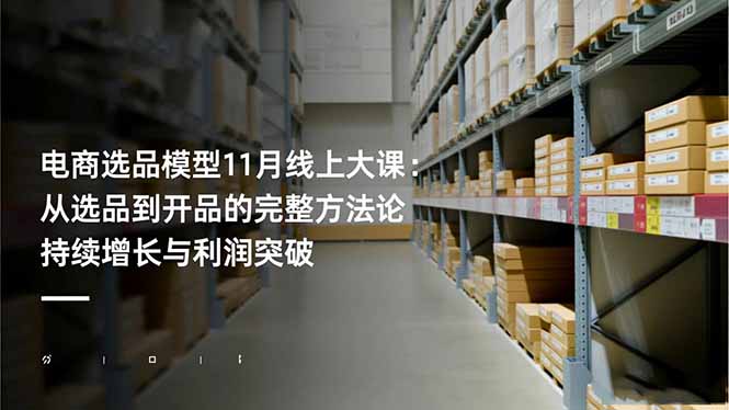电商选品模型11月线上大课：从选品到开品的完整方法论 持续增长与利润突破-学链网创