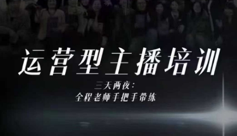 婉婉运营型主播培训线下课，主播四大能力，十小时线下录像+字幕，内容比线上课干-学链网创