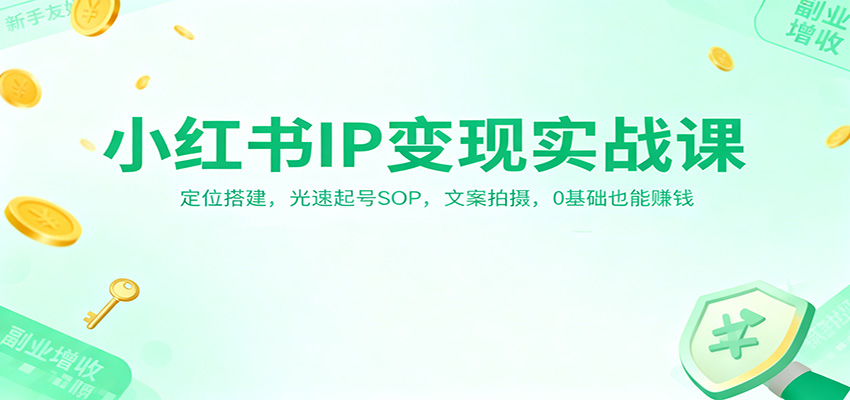 小红书IP变现实战课：定位搭建，光速起号SOP，文案拍摄，0基础也能赚钱-学链网创