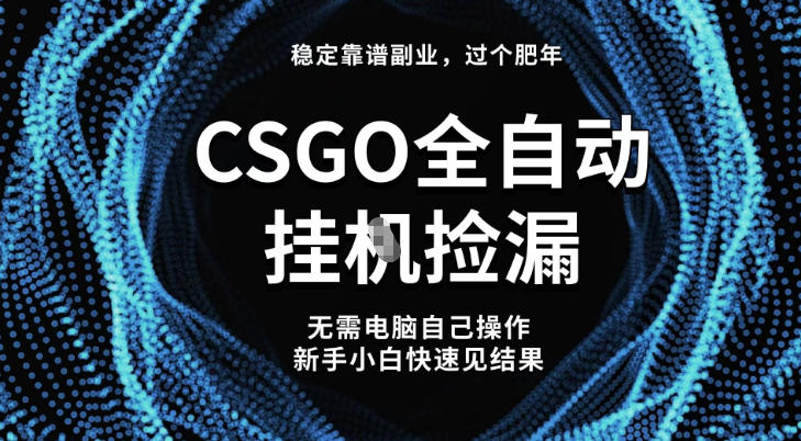 【稳定副业】全球最热门游戏CSGO全自动捡漏，最新玩法，新手小白日入5张+【揭秘】-学链网创