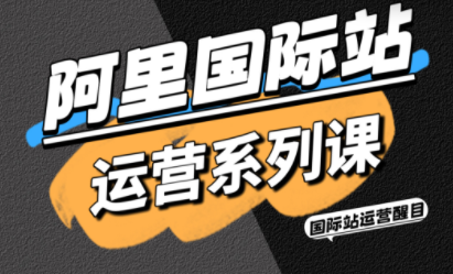 醒目老师·阿里国际站运营系列课(更新11月)-学链网创