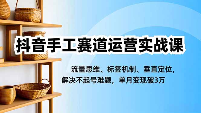抖音手工赛道运营实战课，流量思维、标签机制、垂直定位，解决不起号难题，单月变现破3万-学链网创