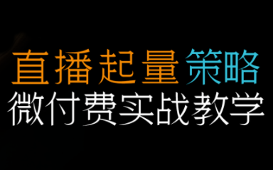 半野老师·直播带货起量与微付费必学课视频号-学链网创