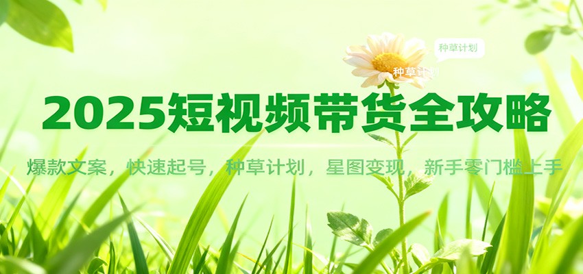 2025短视频带货全攻略：爆款文案，快速起号，种草计划，星图变现，新手零门槛上手-学链网创