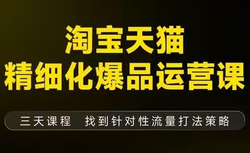 猫课子幽·淘宝天猫精细化爆品运营【音频+字幕+文档】(9月12-14杭州线下课)-学链网创