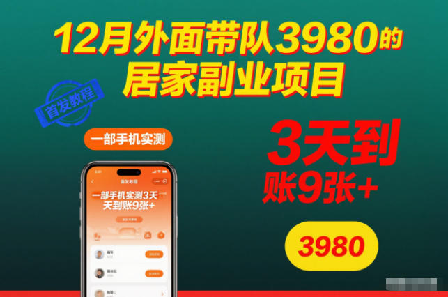 12月外面带队3980的居家副业项目，一部手机实测3天到账9张+，首发教程【揭秘】-学链网创