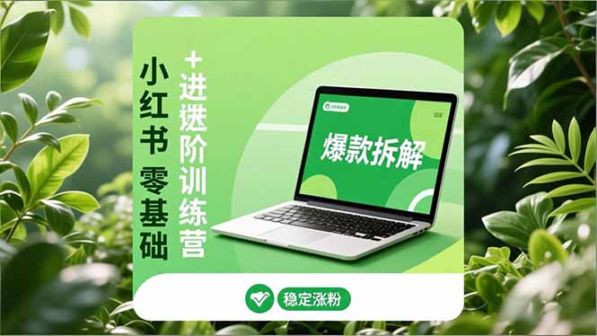 小红书零基础+高阶训练营：安全养号、爆款拆解、长效运营，实现稳定涨粉与变现-学链网创