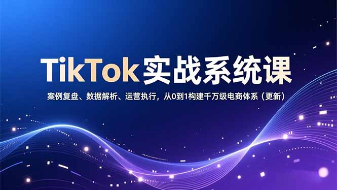 TikTok实战系统课，案例复盘、数据解析、运营执行，从0到1构建千万级电商体系(更新-学链网创