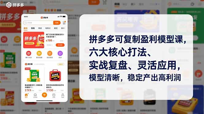 拼多多可复制盈利模型课，六大核心打法、实战复盘、灵活应用，模型清晰，稳定产出高利润-学链网创