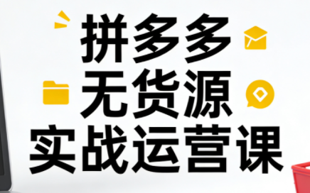 子枫老师·拼多多无货源实战运营课(更新12月)-学链网创