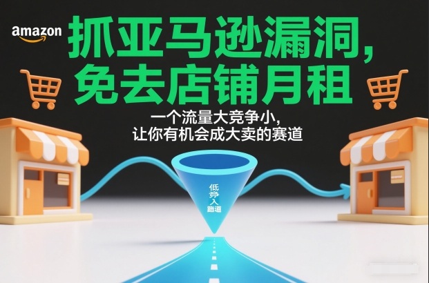 抓亚马逊漏洞，免去店铺月租，一个流量大竞争小，让你有机会成大卖的赛道-学链网创