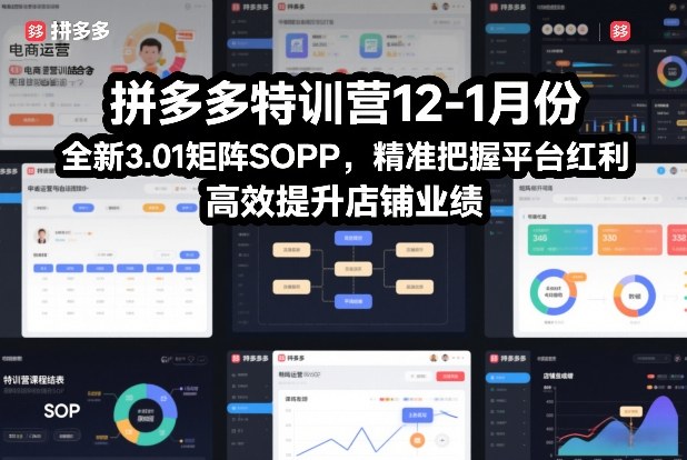 拼多多特训营12-1月份，全新3.01矩阵Sop，精准把握平台红利，高效提升店铺业绩-学链网创