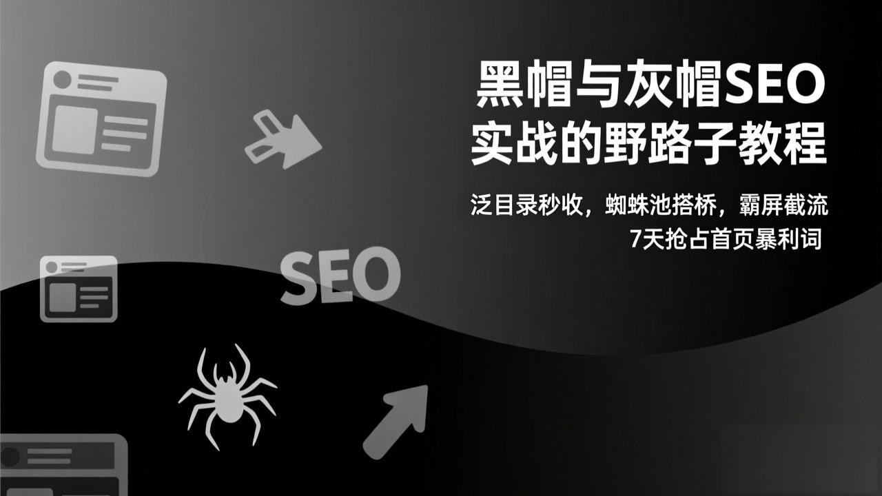 黑帽与灰帽SEO实战的野路子教程：泛目录秒收，蜘蛛池搭桥，霸屏截流，7天抢占首页暴利词-学链网创