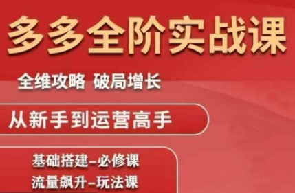 大炮·拼多多全阶实战课程(更新2026)-学链网创