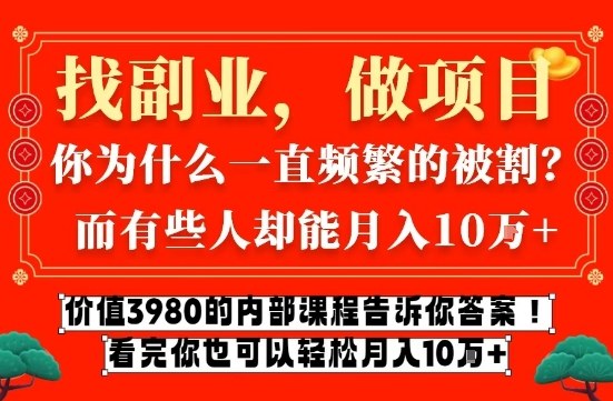 价值3980的网创内部课程，告诉你互联网创业月入10个W的秘密【揭秘】-学链网创