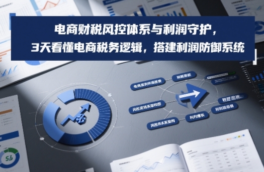 电商财税风控体系与利润守护，3天看懂电商税务逻辑，搭建利润防御系统-学链网创