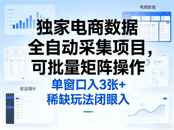 独家电商数据全自动采集项目，可批量矩阵操作，单窗口日入3张+，稀缺玩法闭眼入【揭秘】-学链网创