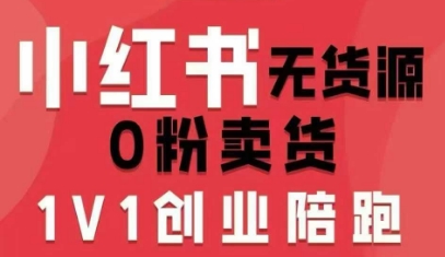 小红书无货源0粉电商课，开店准备、选品策略、笔记撰写、视频剪辑、数据分析、账号打造、资料文档(更新26年3月16日)-学链网创