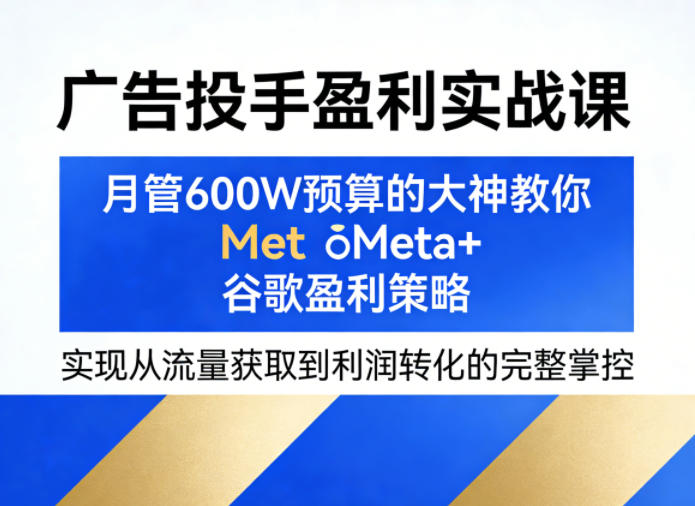 广告投手盈利实战课，月管600W预算的大神教你Meta+谷歌盈利策略，实现从流量获取到利润转化的完整掌控-学链网创