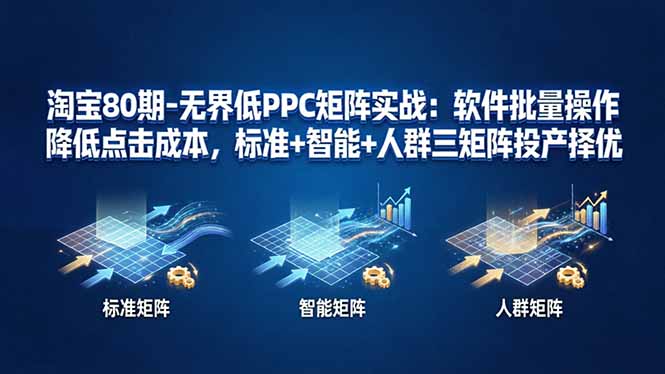 淘宝80期-无界低PPC矩阵实战：软件批量操作降低点击成本，标准+智能+人群三矩阵投产择优-学链网创