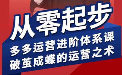 海神·拼多多运营进阶系统课(更新2026)-学链网创