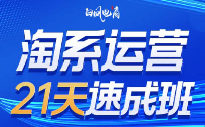 白凤电商·淘系运营21天速成班(更新4月)-学链网创